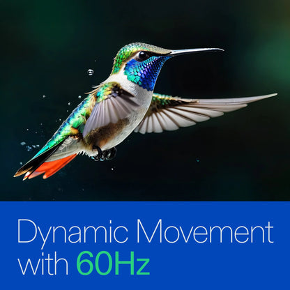 24” Class 720P HD Roku Smart Television, 100012590